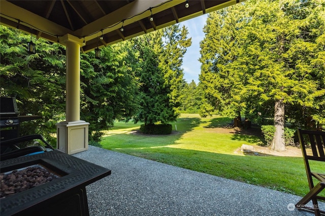 view of yard with a patio area