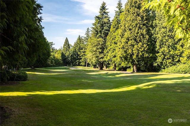 surrounding community featuring a lawn