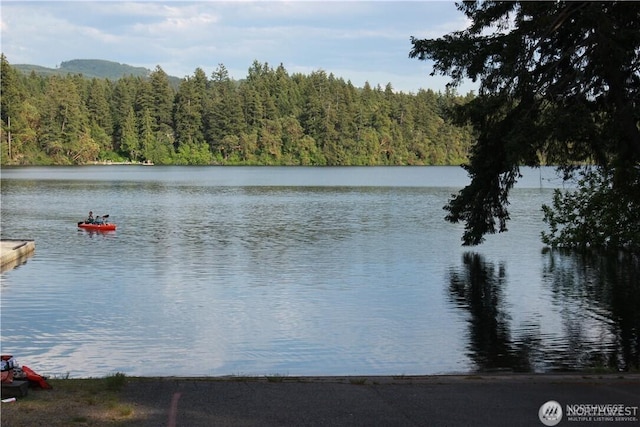 property view of water featuring a forest view