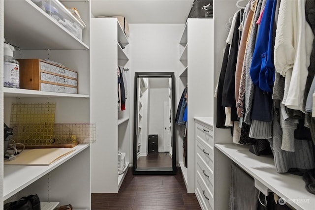 spacious closet with dark wood-type flooring