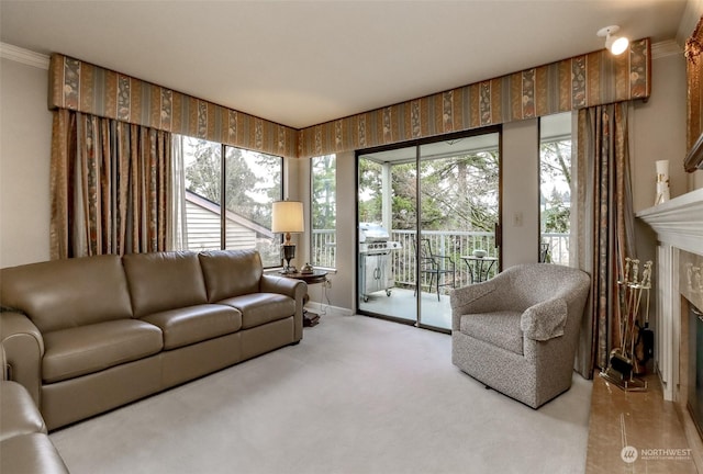 carpeted living room featuring crown molding and a fireplace