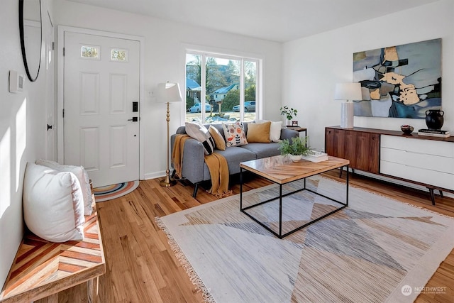 living room featuring light wood-type flooring