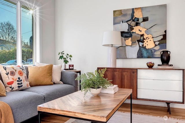 living room featuring light hardwood / wood-style flooring