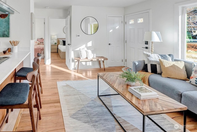 living room featuring light hardwood / wood-style flooring