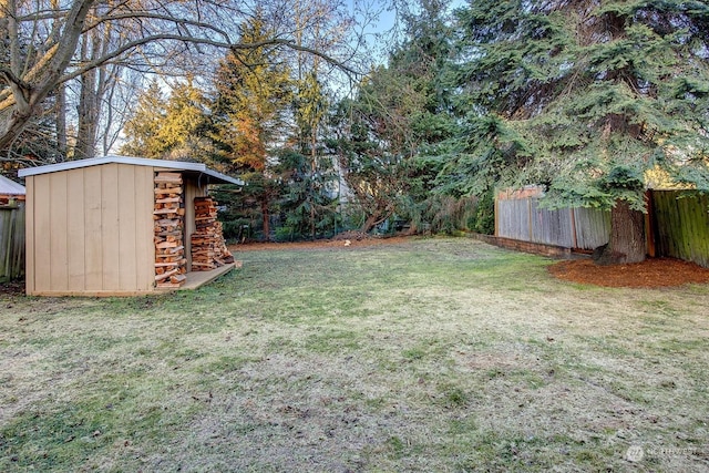 view of yard with a storage unit