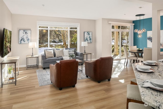 living room featuring light wood-type flooring