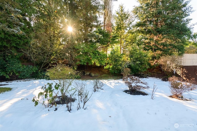 view of snowy yard