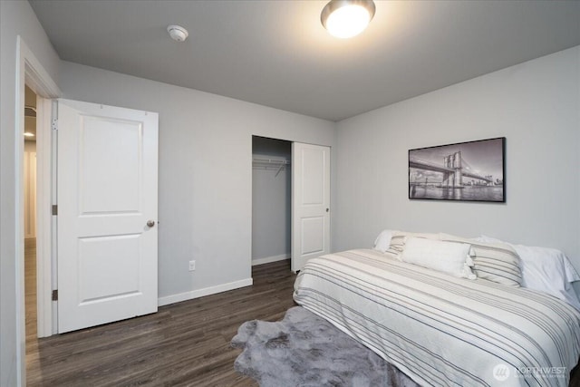 bedroom featuring dark hardwood / wood-style floors and a closet