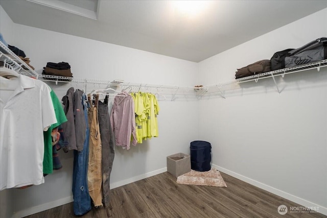 spacious closet with dark hardwood / wood-style floors