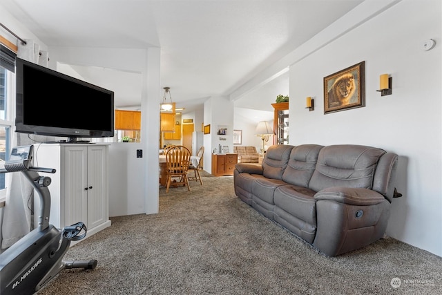 living room featuring a healthy amount of sunlight and carpet flooring