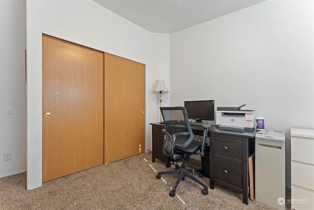 office space with light carpet