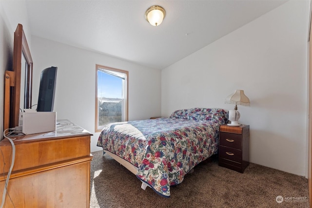 bedroom featuring dark carpet