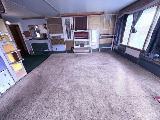 unfurnished living room featuring carpet