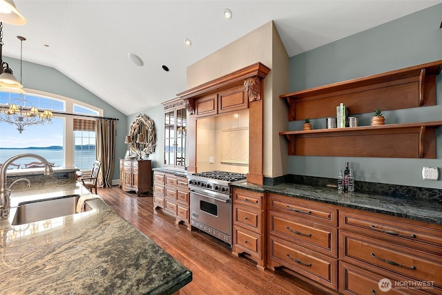 kitchen featuring brown cabinetry, lofted ceiling, dark wood-style flooring, a sink, and premium stove