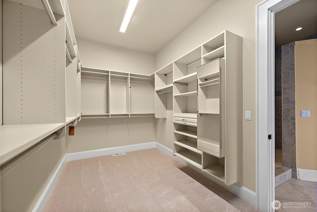 spacious closet featuring carpet