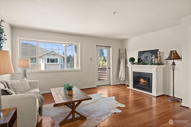 living room featuring hardwood / wood-style floors