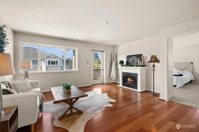 living room featuring hardwood / wood-style flooring