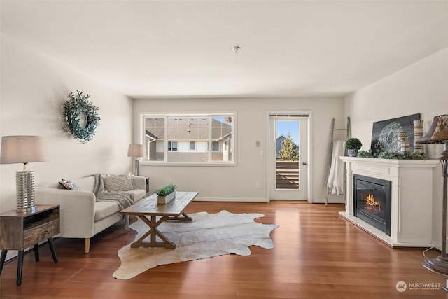 living area featuring hardwood / wood-style floors