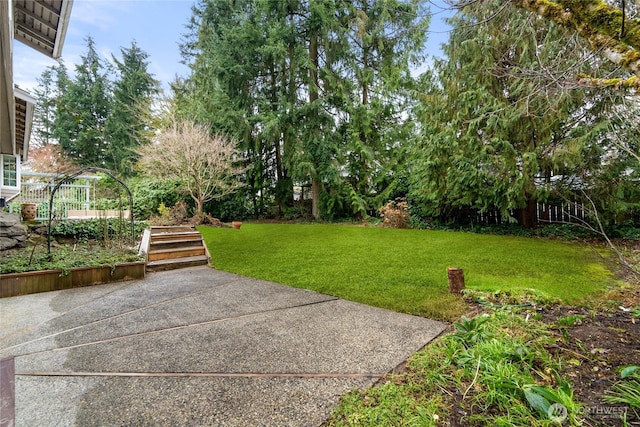 view of yard featuring a patio