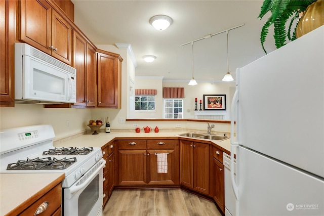 kitchen featuring sink, light wood-type flooring, hanging light fixtures, crown molding, and white appliances