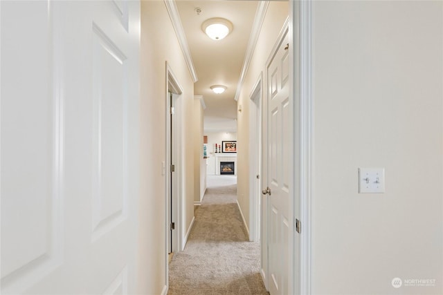 corridor featuring ornamental molding and light colored carpet