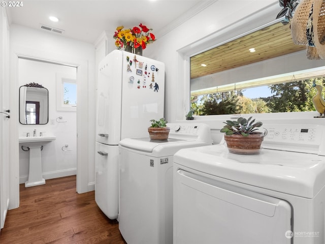 laundry area with dark hardwood / wood-style flooring, sink, a wealth of natural light, and independent washer and dryer