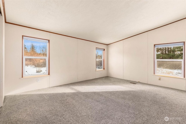 carpeted empty room featuring crown molding, a wealth of natural light, and a textured ceiling