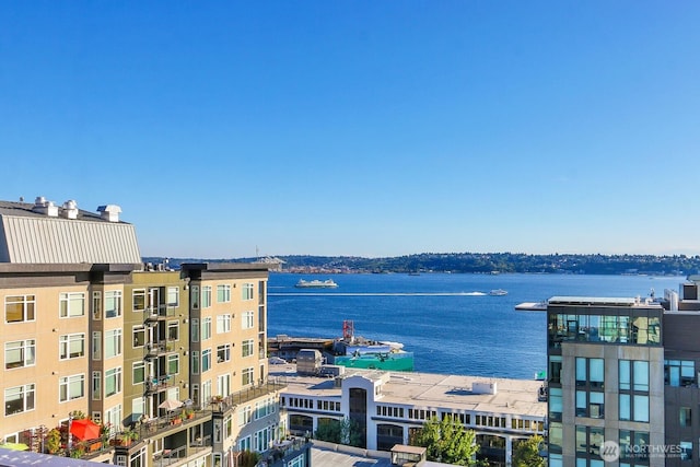 76 Cedar St Unit 808, Seattle, WA 98121 - photo 16