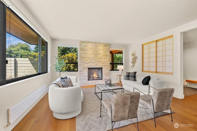 living room with a wealth of natural light, hardwood / wood-style floors, and a fireplace