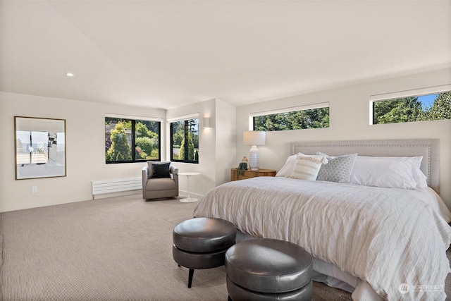 carpeted bedroom featuring multiple windows