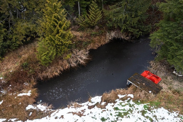 bird's eye view with a water view