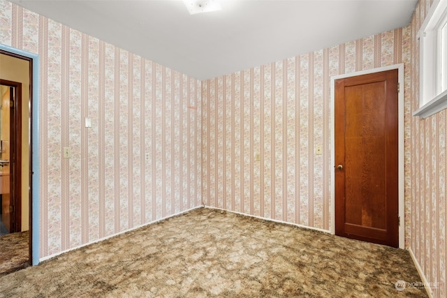 spare room with carpet