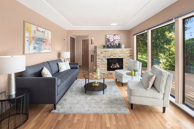 living room with a fireplace and light hardwood / wood-style floors