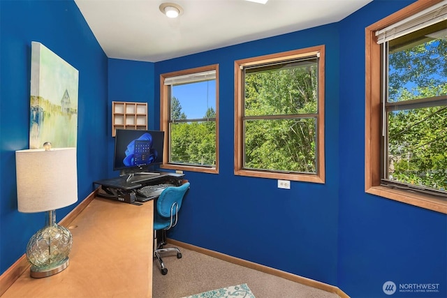 carpeted office space featuring a wealth of natural light