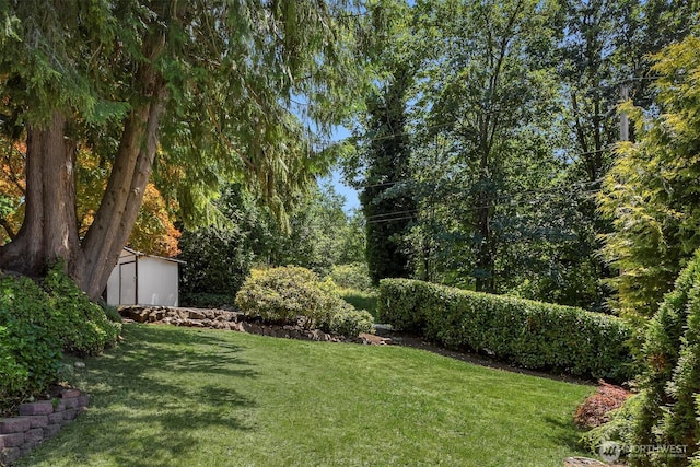 view of yard with a shed