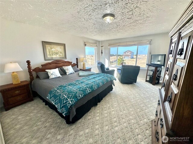 bedroom with carpet and a textured ceiling