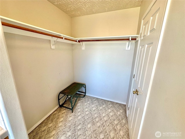 spacious closet with carpet