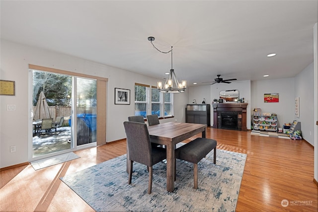 dining room with ceiling fan with notable chandelier and light wood-type flooring