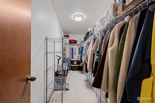 walk in closet with carpet