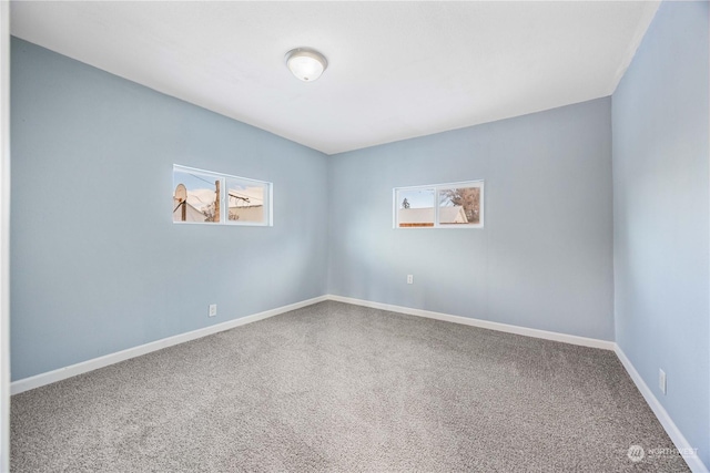 empty room with carpet floors and a wealth of natural light