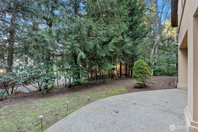 view of yard featuring a patio area