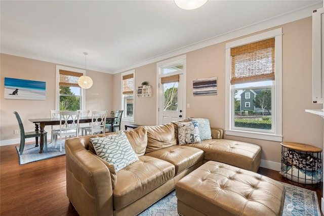 living room featuring crown molding and dark hardwood / wood-style flooring