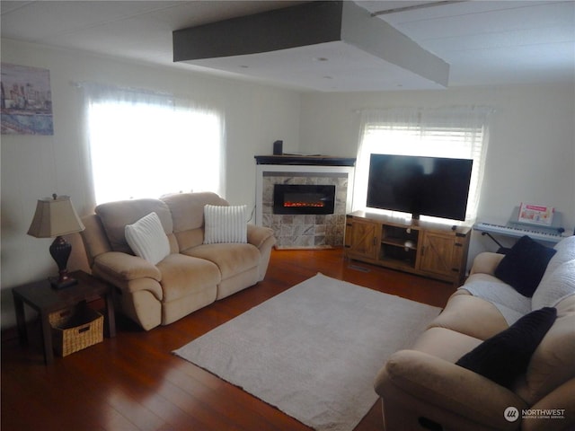 living room featuring a premium fireplace and dark wood-type flooring