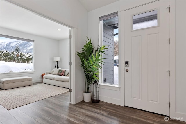 foyer entrance featuring hardwood / wood-style flooring and a mountain view