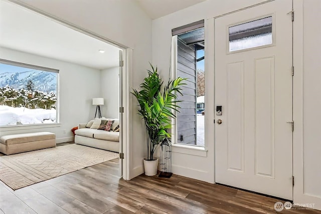 9783 Dye Rd, Leavenworth, WA 98826 - entryway with baseboards and dark wood-style floors