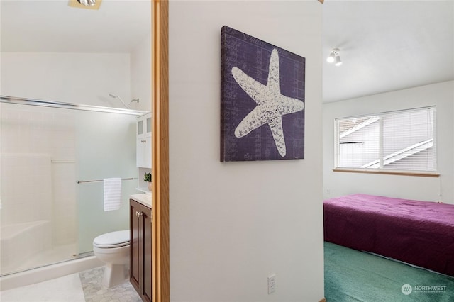 bathroom with vanity, a shower with shower door, and toilet