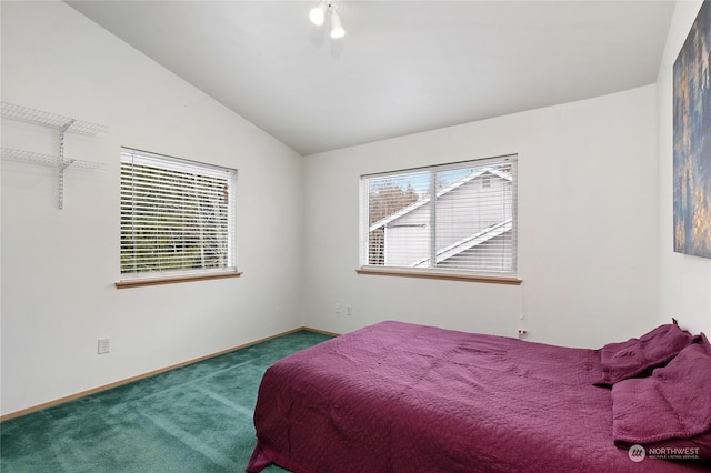 bedroom with lofted ceiling and carpet floors