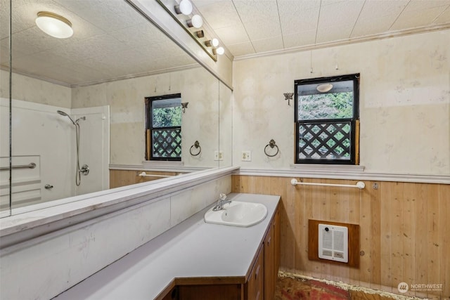 bathroom featuring vanity, wooden walls, and walk in shower