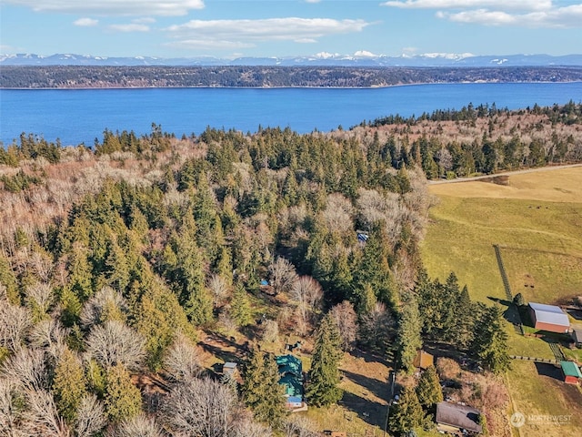 aerial view with a water and mountain view