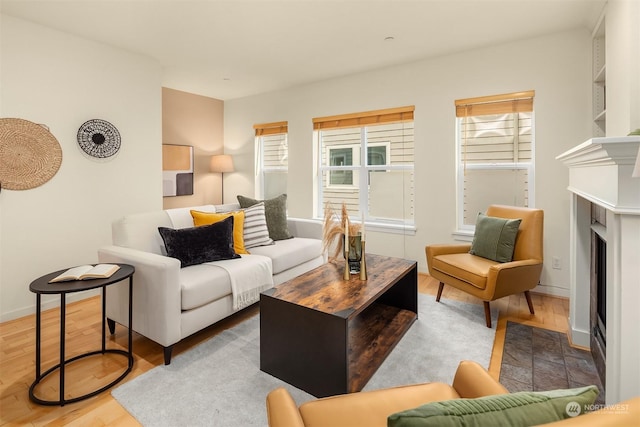 living room with hardwood / wood-style flooring